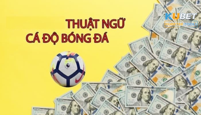 Những thuật ngữ cá cược bóng đá cần biết dành cho anh em